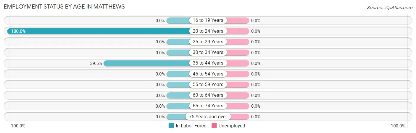 Employment Status by Age in Matthews