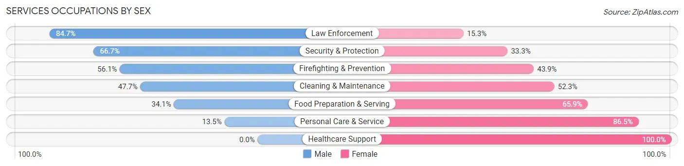 Services Occupations by Sex in Mcdonough