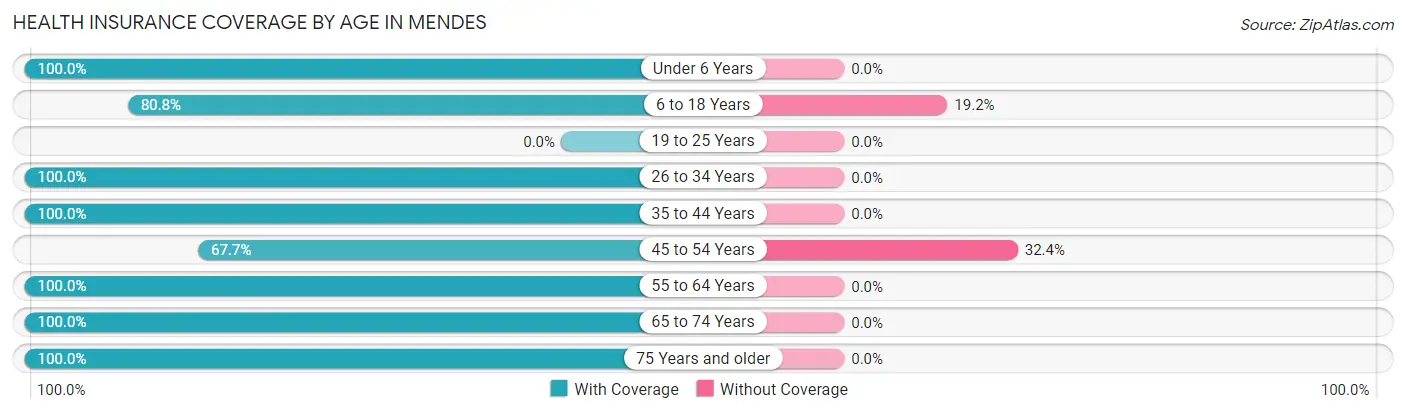 Health Insurance Coverage by Age in Mendes