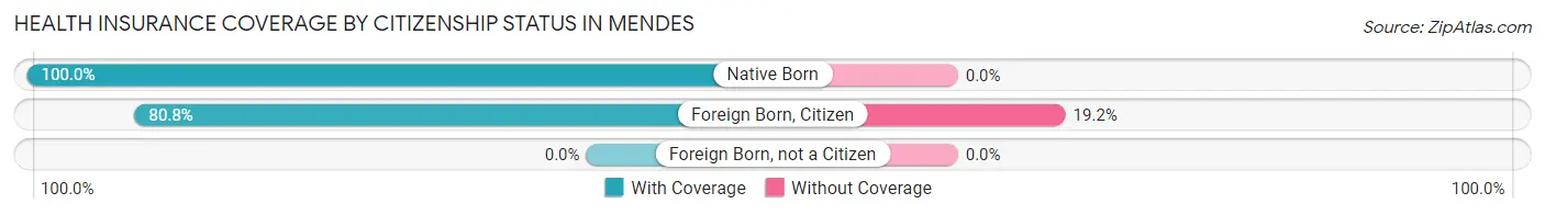 Health Insurance Coverage by Citizenship Status in Mendes
