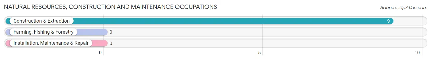 Natural Resources, Construction and Maintenance Occupations in Mendes