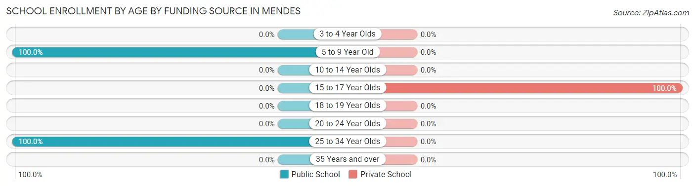 School Enrollment by Age by Funding Source in Mendes