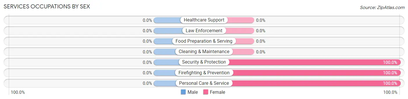 Services Occupations by Sex in Mendes