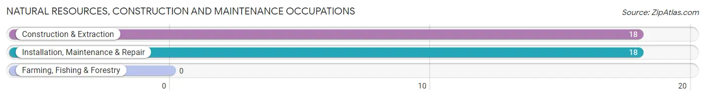 Natural Resources, Construction and Maintenance Occupations in Menlo