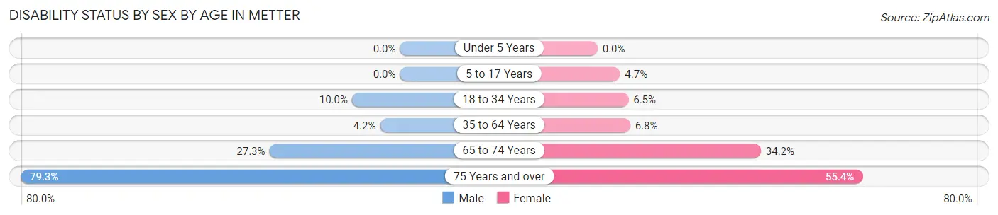 Disability Status by Sex by Age in Metter