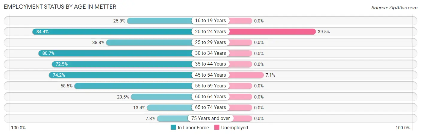 Employment Status by Age in Metter