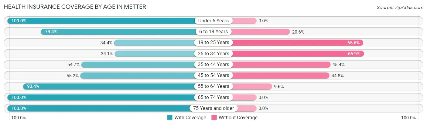 Health Insurance Coverage by Age in Metter