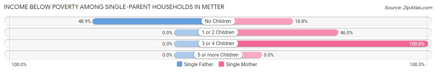Income Below Poverty Among Single-Parent Households in Metter