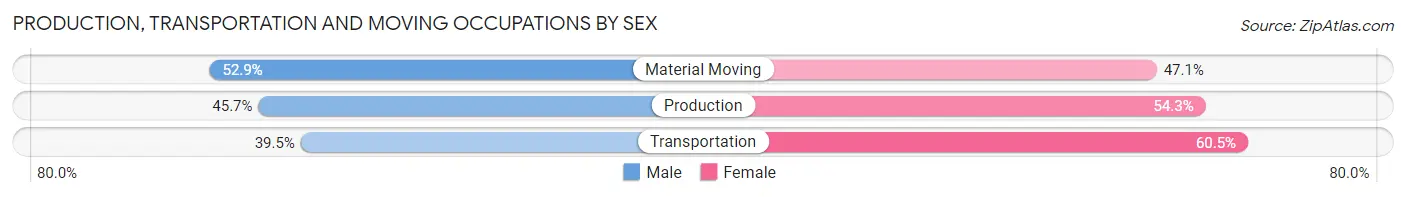 Production, Transportation and Moving Occupations by Sex in Metter