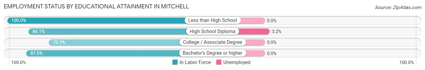 Employment Status by Educational Attainment in Mitchell