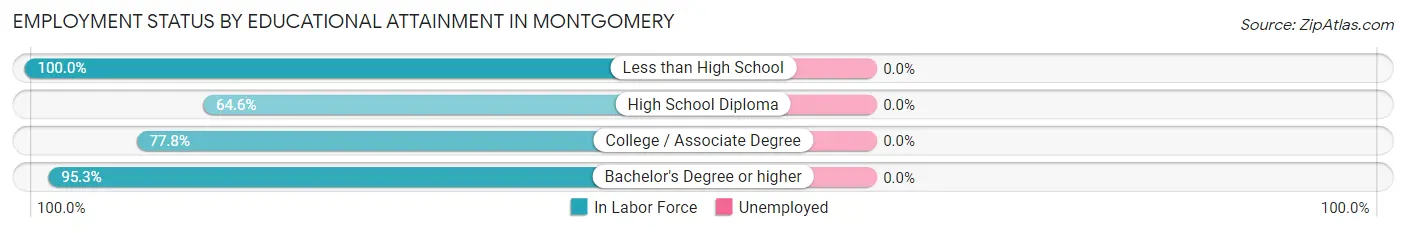 Employment Status by Educational Attainment in Montgomery