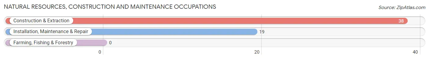 Natural Resources, Construction and Maintenance Occupations in Monticello