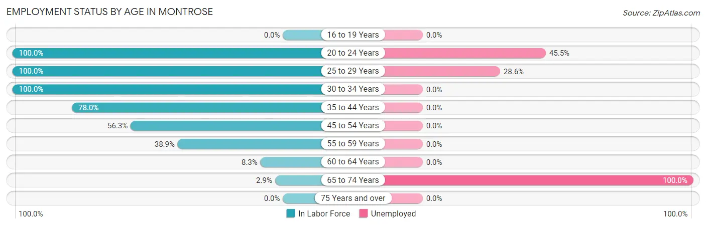 Employment Status by Age in Montrose