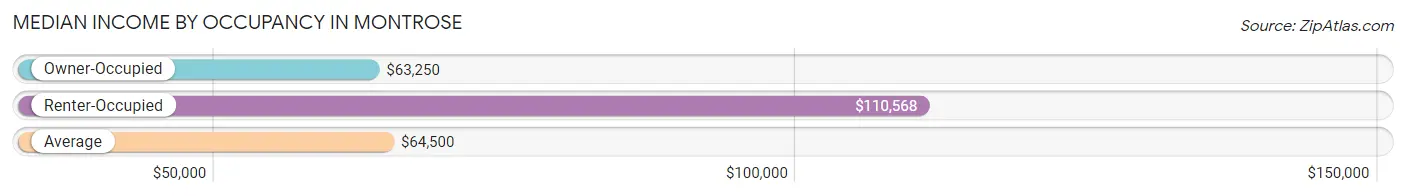 Median Income by Occupancy in Montrose