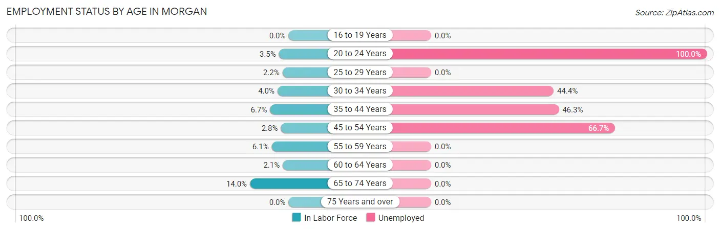 Employment Status by Age in Morgan