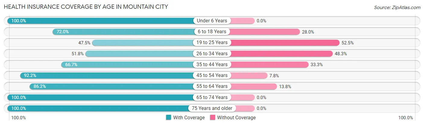 Health Insurance Coverage by Age in Mountain City