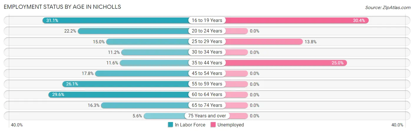 Employment Status by Age in Nicholls