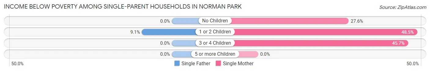 Income Below Poverty Among Single-Parent Households in Norman Park