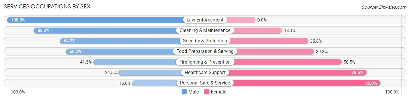 Services Occupations by Sex in North Decatur