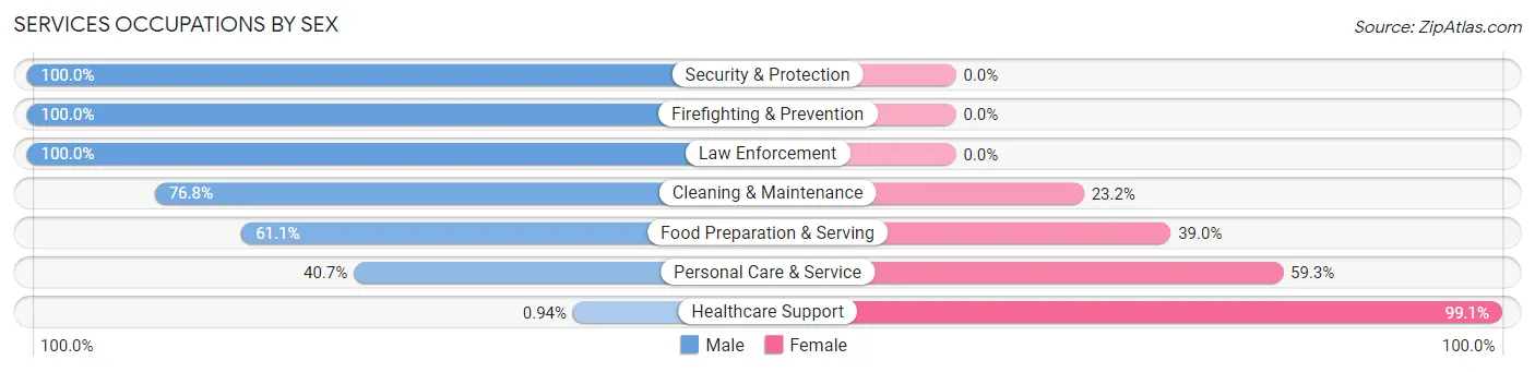 Services Occupations by Sex in North Druid Hills