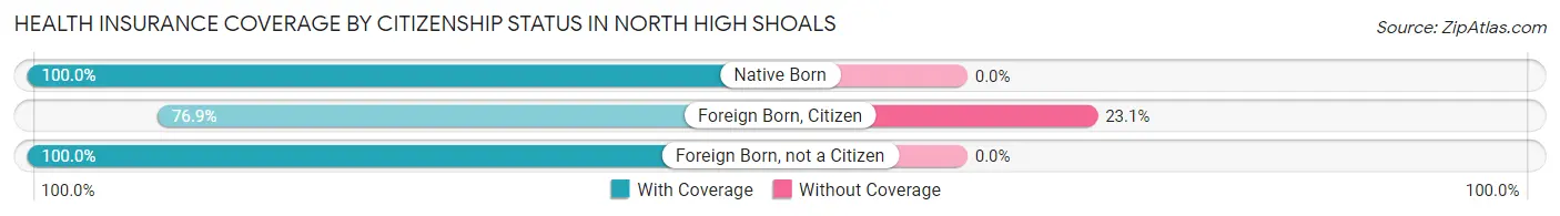 Health Insurance Coverage by Citizenship Status in North High Shoals