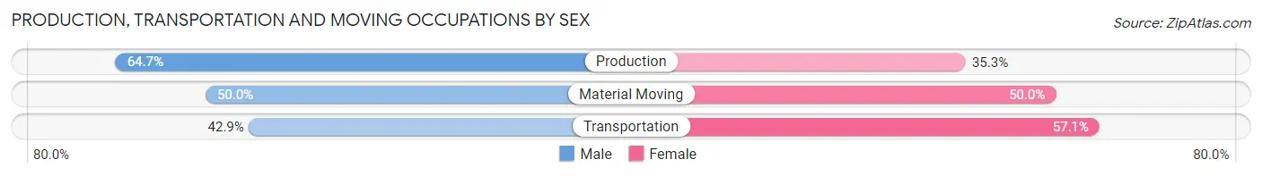 Production, Transportation and Moving Occupations by Sex in North High Shoals