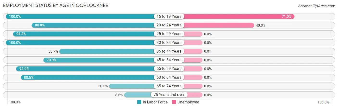 Employment Status by Age in Ochlocknee