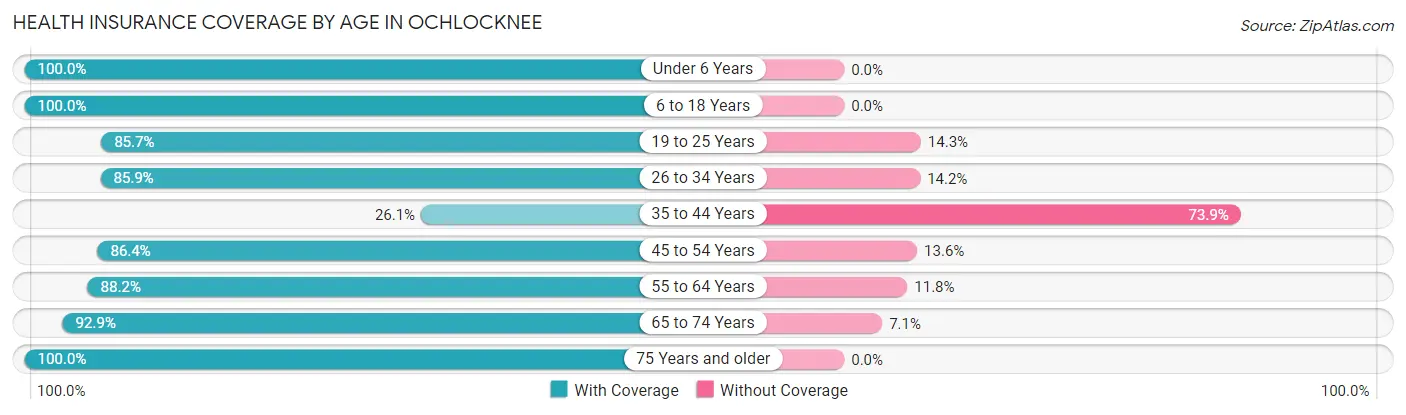 Health Insurance Coverage by Age in Ochlocknee