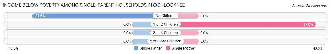 Income Below Poverty Among Single-Parent Households in Ochlocknee