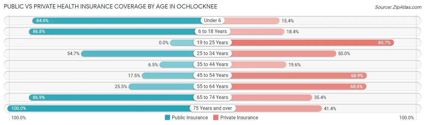 Public vs Private Health Insurance Coverage by Age in Ochlocknee