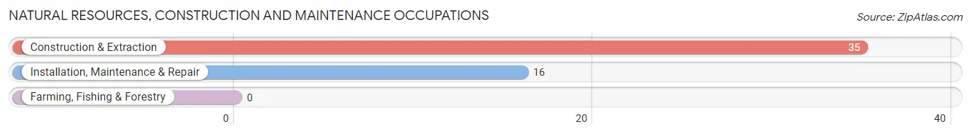 Natural Resources, Construction and Maintenance Occupations in Ocilla