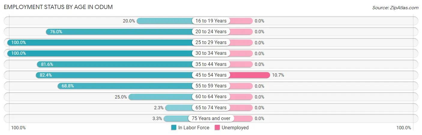 Employment Status by Age in Odum