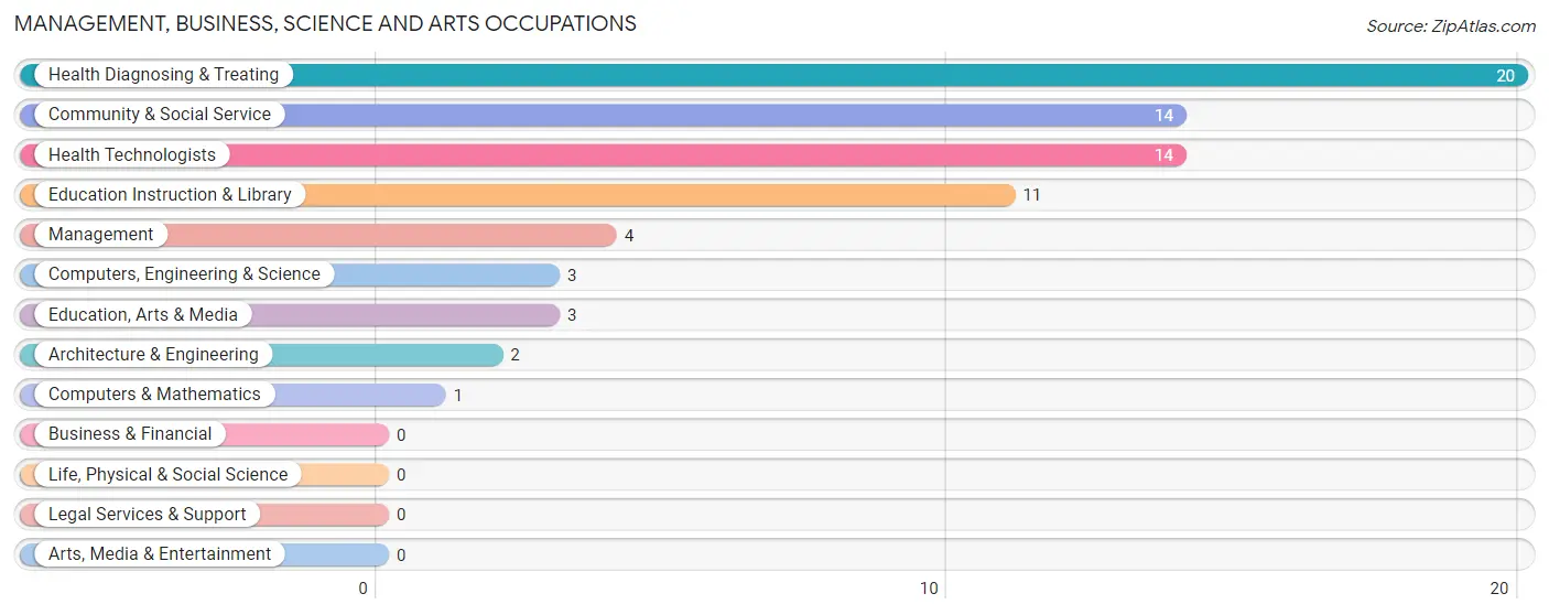 Management, Business, Science and Arts Occupations in Odum