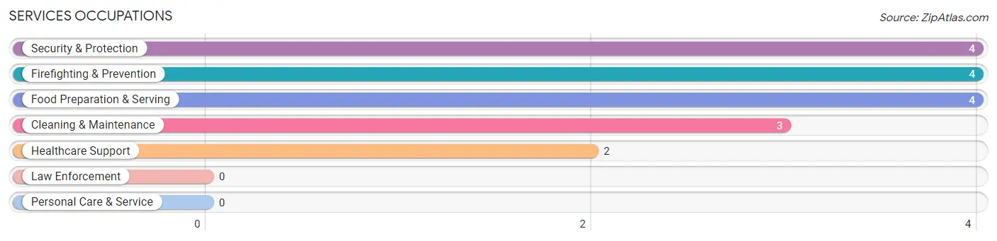 Services Occupations in Odum