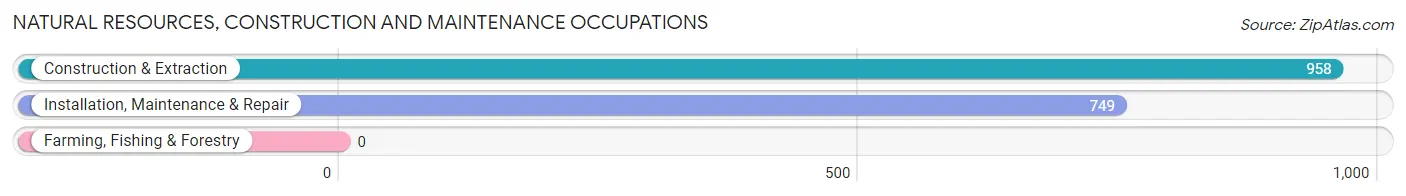 Natural Resources, Construction and Maintenance Occupations in Peachtree Corners