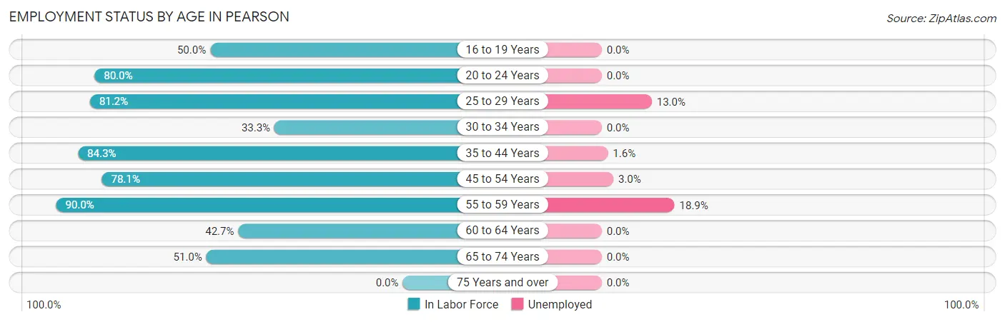Employment Status by Age in Pearson
