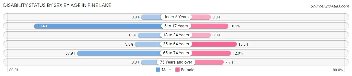 Disability Status by Sex by Age in Pine Lake