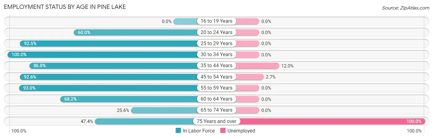 Employment Status by Age in Pine Lake