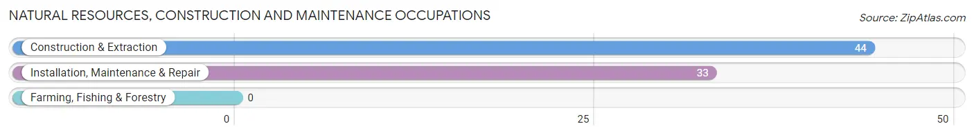 Natural Resources, Construction and Maintenance Occupations in Porterdale