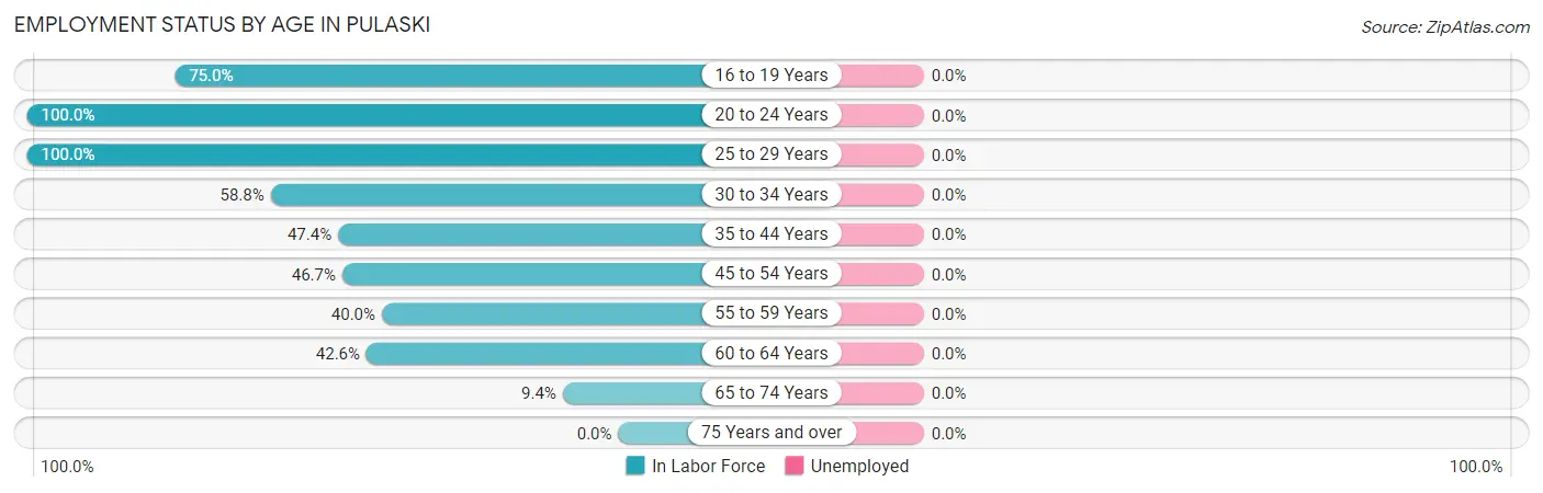 Employment Status by Age in Pulaski
