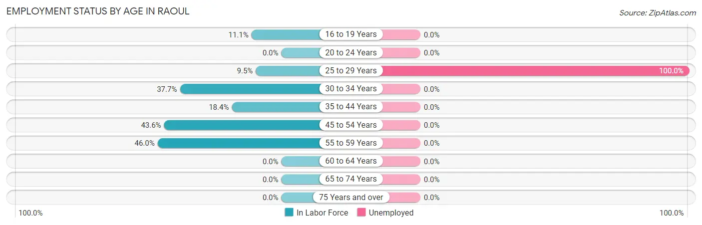 Employment Status by Age in Raoul