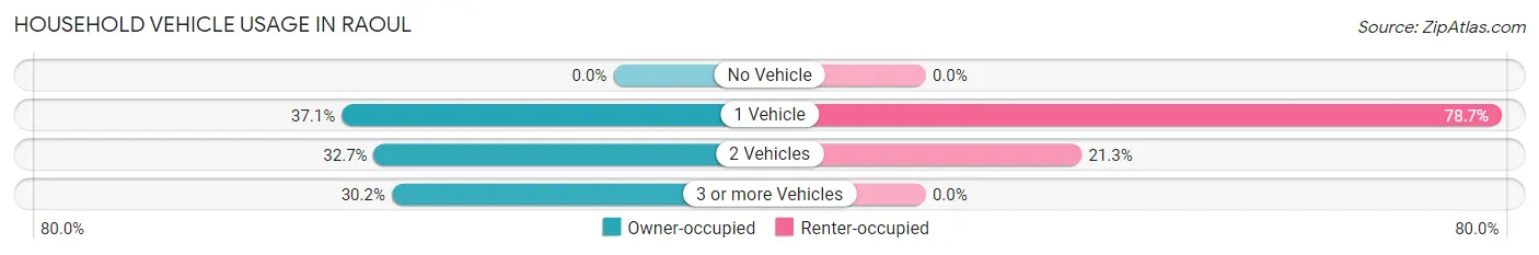 Household Vehicle Usage in Raoul