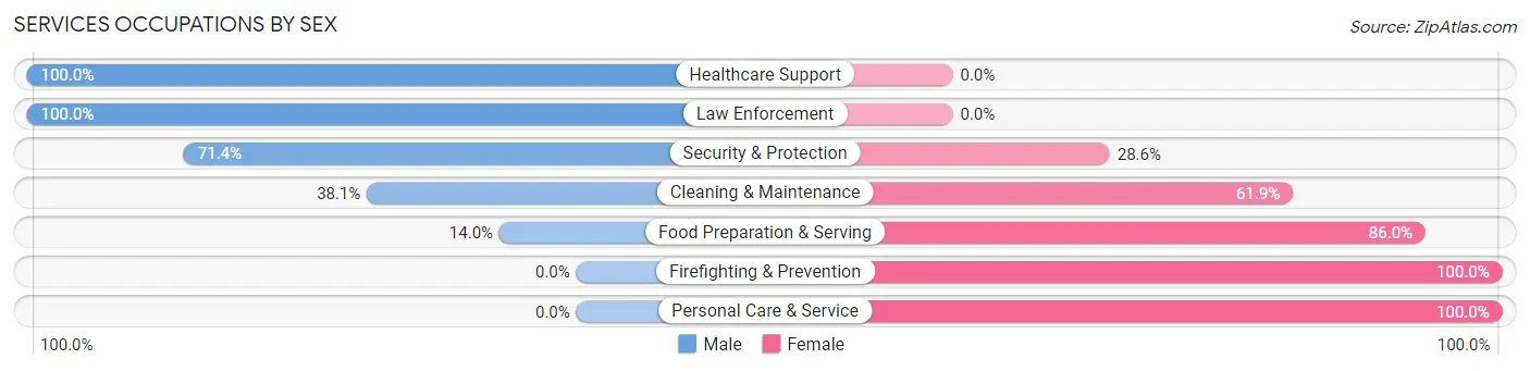 Services Occupations by Sex in Ray City