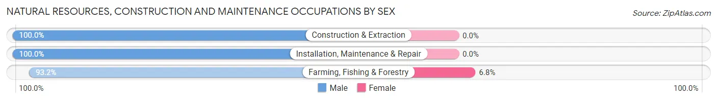 Natural Resources, Construction and Maintenance Occupations by Sex in Reidsville