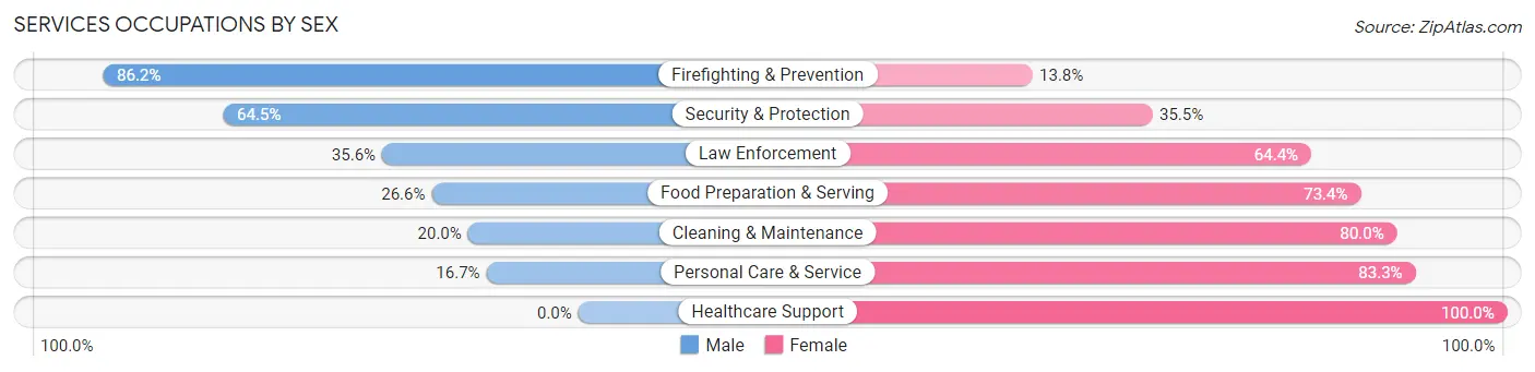 Services Occupations by Sex in Rincon