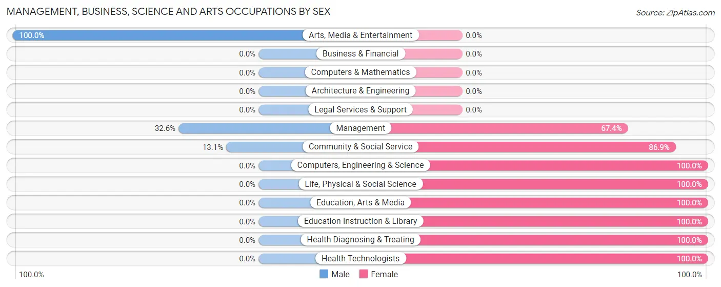 Management, Business, Science and Arts Occupations by Sex in Rockmart