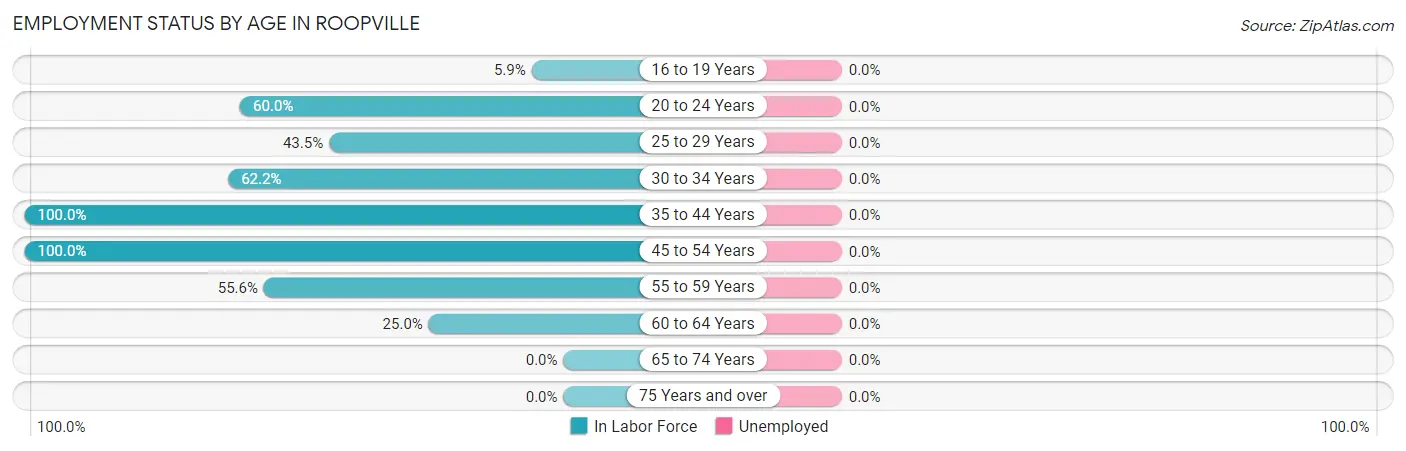 Employment Status by Age in Roopville