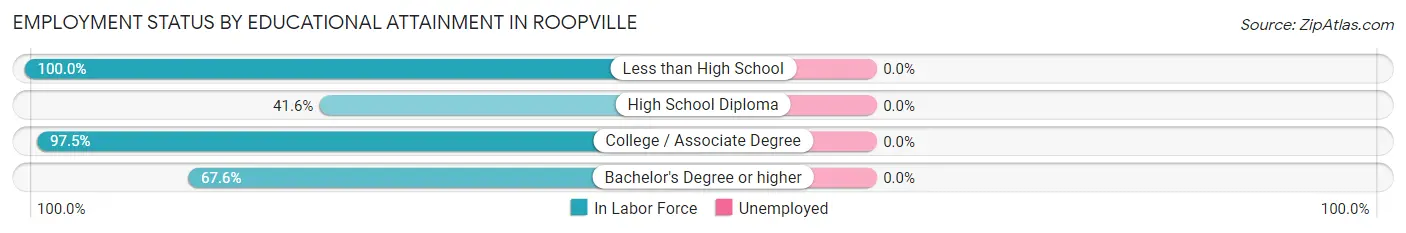 Employment Status by Educational Attainment in Roopville