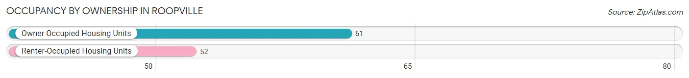 Occupancy by Ownership in Roopville
