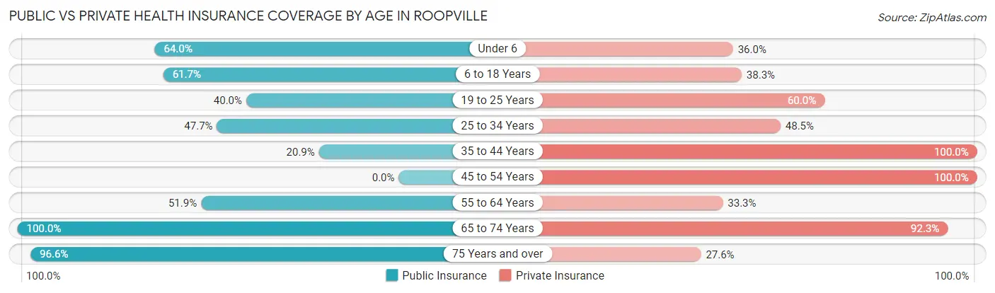 Public vs Private Health Insurance Coverage by Age in Roopville